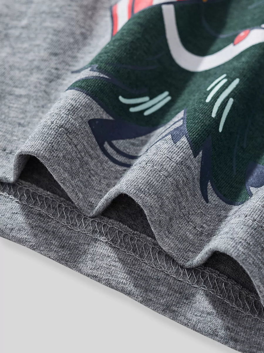 Gray cotton long-sleeve tee with a green dinosaur graphic detail