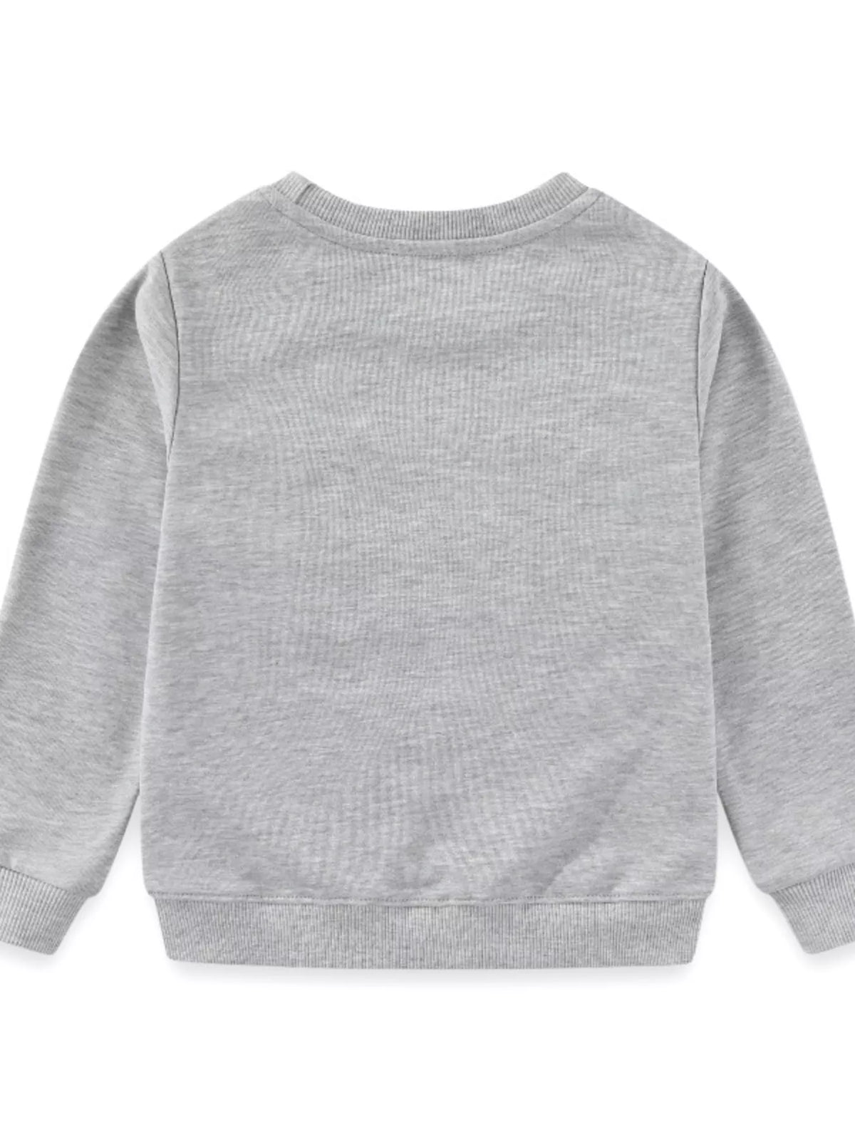 Gray baby sweatshirt with crew neck and long sleeves.