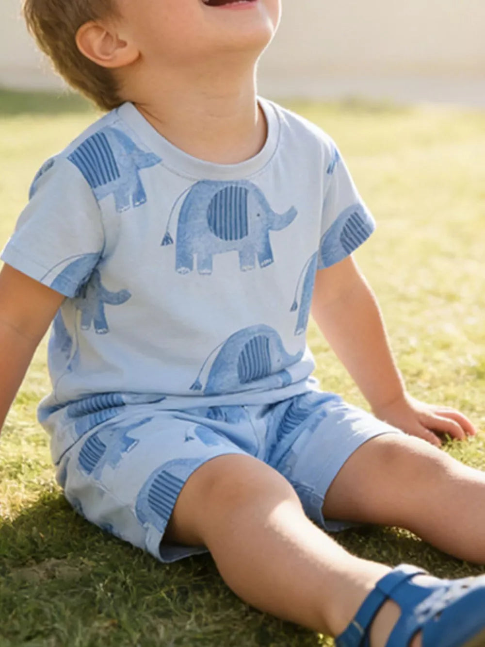Light blue cotton toddler boys' set with playful elephant print, short sleeves and shorts.