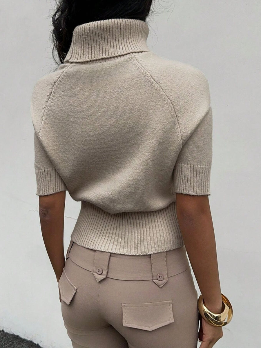 classic turtleneck sweater in beige with turtleneck
