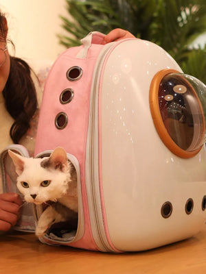 Pink and white pet carrier backpack with bubble window and cat peeking out