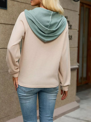 classic hoodie in Dust Storm with hooded