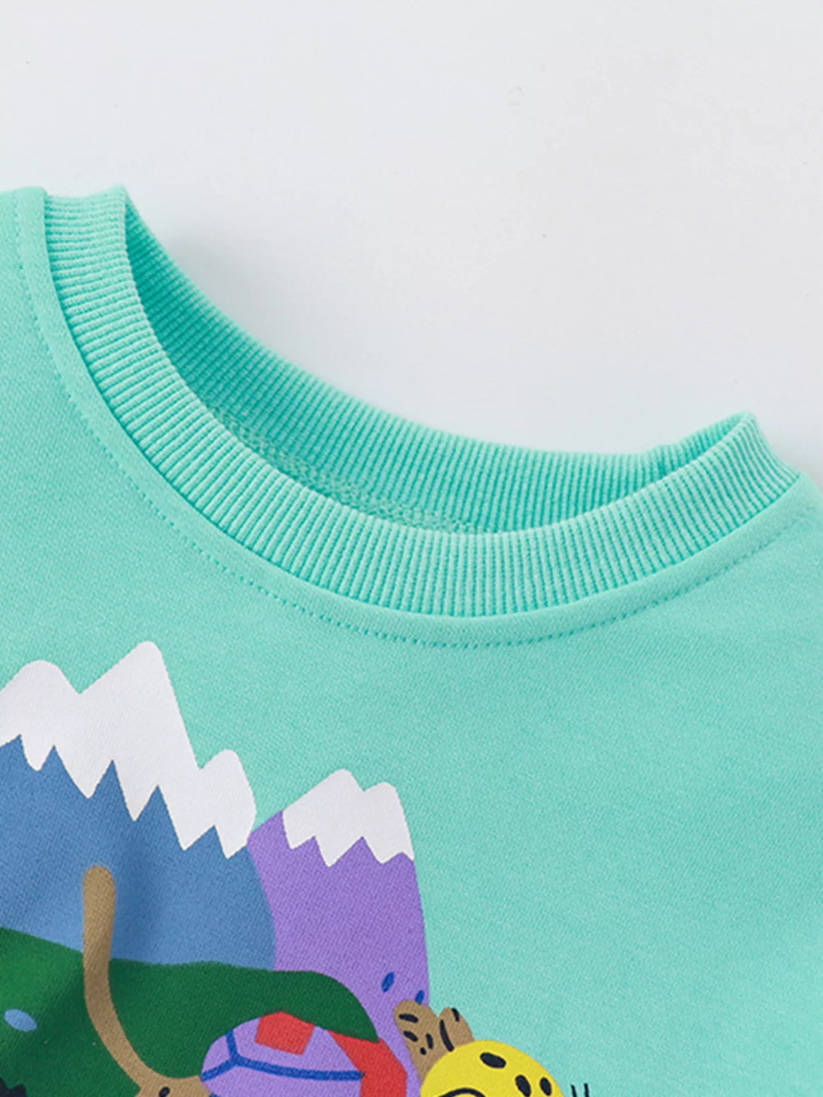 Kids' graphic sweatshirt in mint blue with ribbed crew neck and mountain scene.