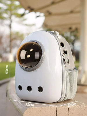 Chic transparent pet carrier backpack in light gray with bubble window and mesh pocket.