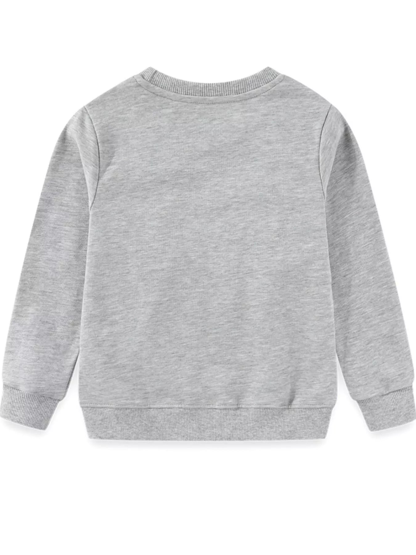 Gray crew-neck sweatshirt with ribbed cuffs and hem.