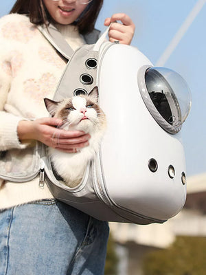 Chic transparent pet carrier backpack in light gray with bubble window and ventilation holes.