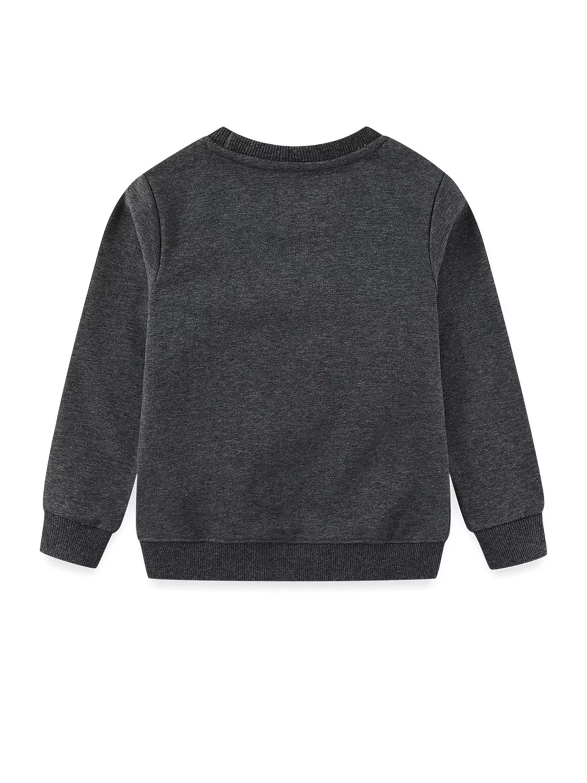 Dark gray crew neck sweatshirt for baby with embroidered rocket detail.