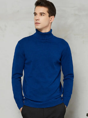 Men's Royal Blue turtleneck sweater with long sleeves and a modern silhouette.