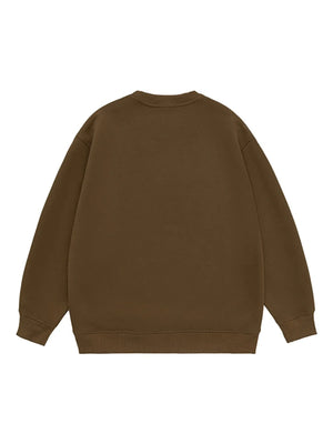 Casual plus-size sweatshirt in coffee brown with crew neck and long sleeves.