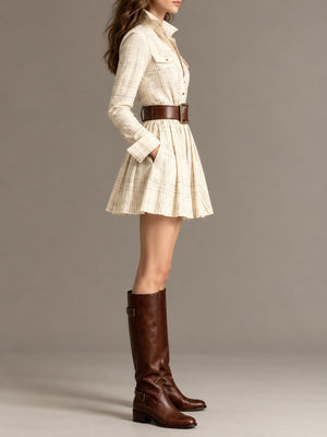 Button-Down Mini Long-Sleeve Pleated Dress in dark brown