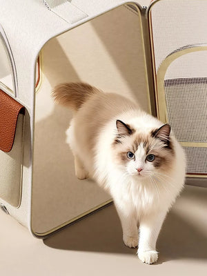 Chic two-tone pet carrier backpack in cream and brown with a fluffy cat.