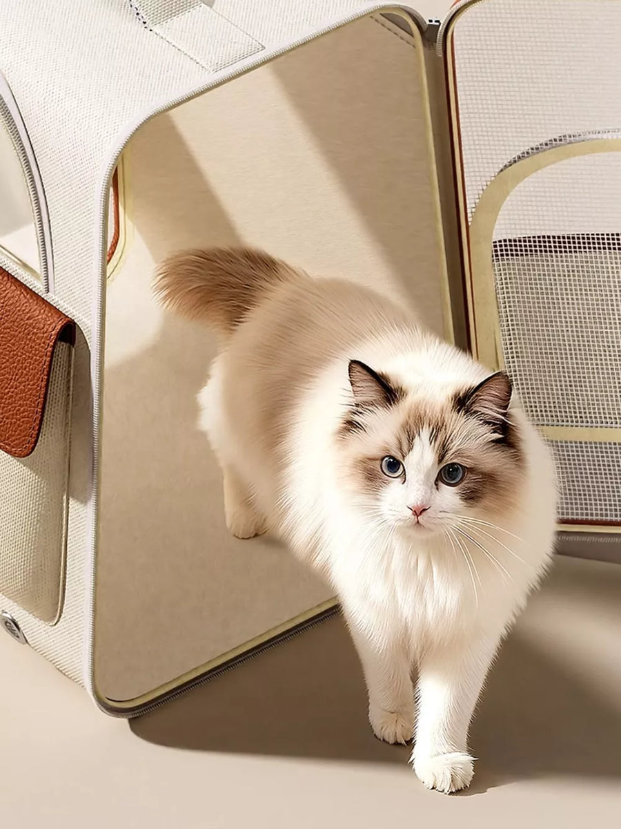 Chic two-tone pet carrier backpack in cream and brown with a fluffy cat.