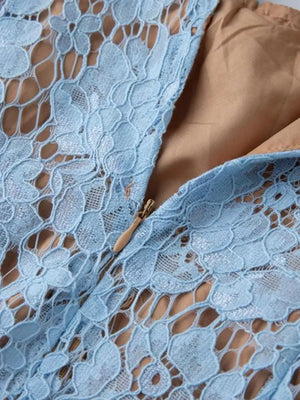 Blue lace dress with a zipper detail and tan lining.