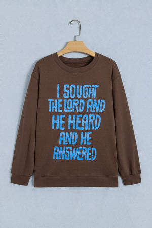 dark brown sweatshirt with hip-length and pullover