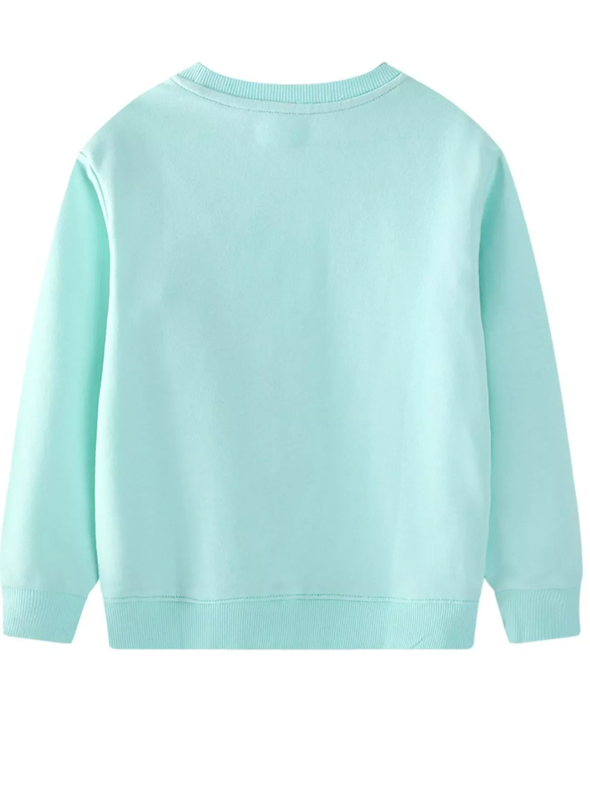 Aqua crew neck sweatshirt with embroidered flower detail