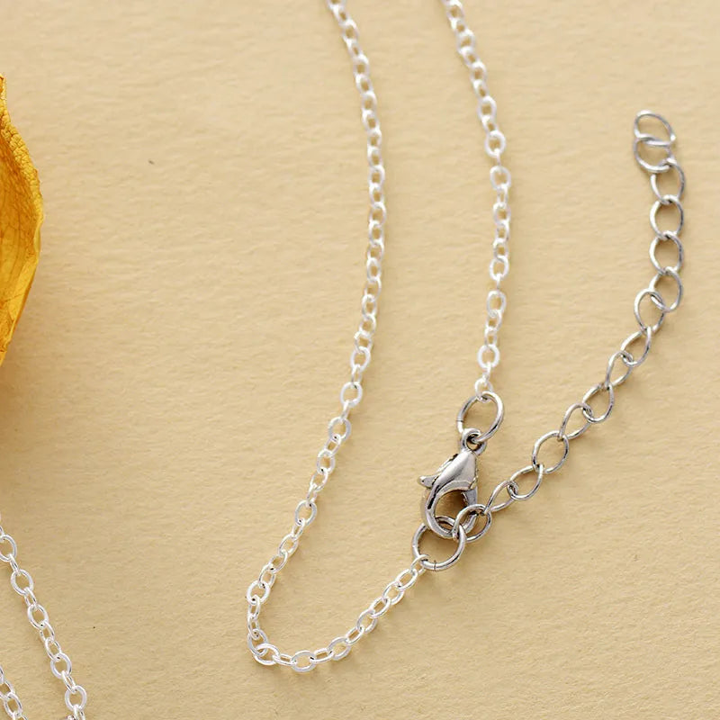 Silver chain necklace with lobster clasp and extender chain
