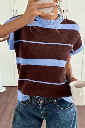Chic striped knit sweater with crew neck and ribbed details in brown and light blue.