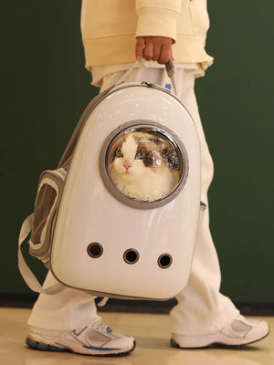 Chic transparent pet carrier backpack in white with bubble window and air holes, carrying a cat.