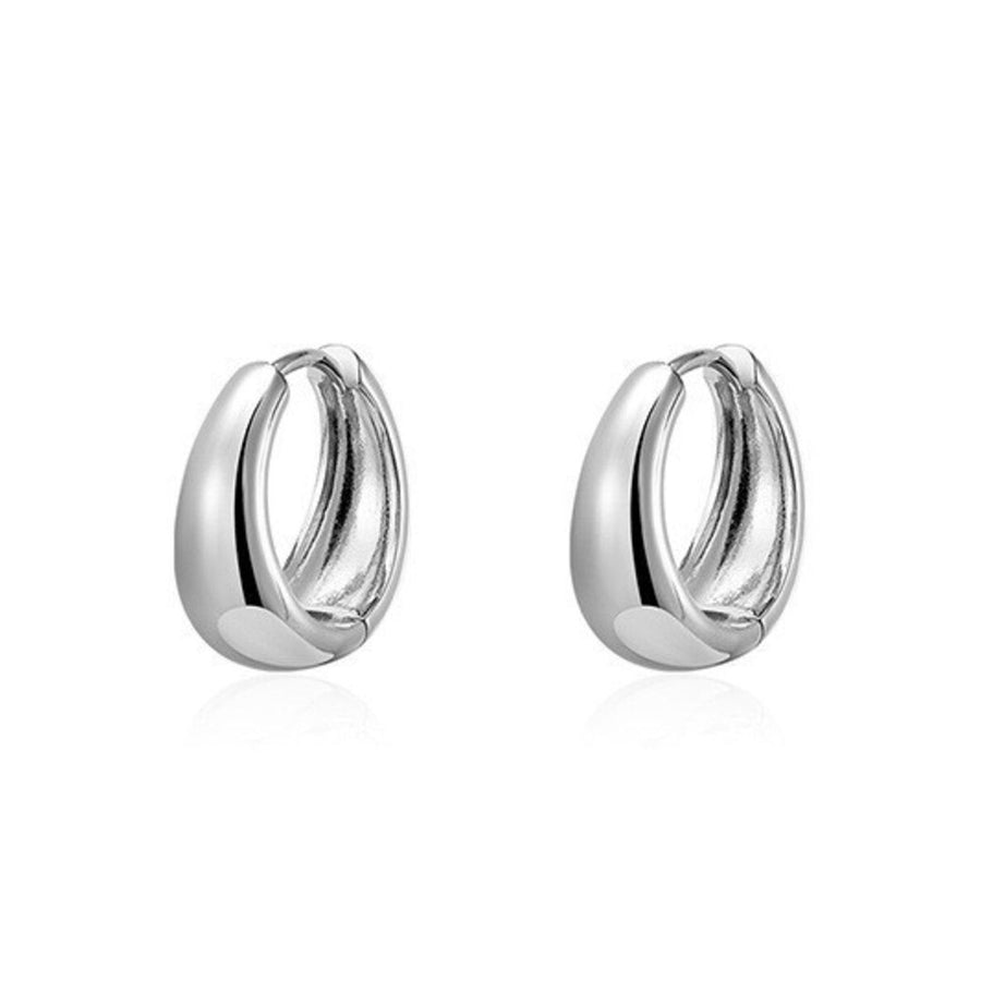 silver earrings with lightweight and not applicable