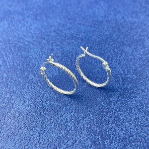 Silver earrings with mini and hinged clasp