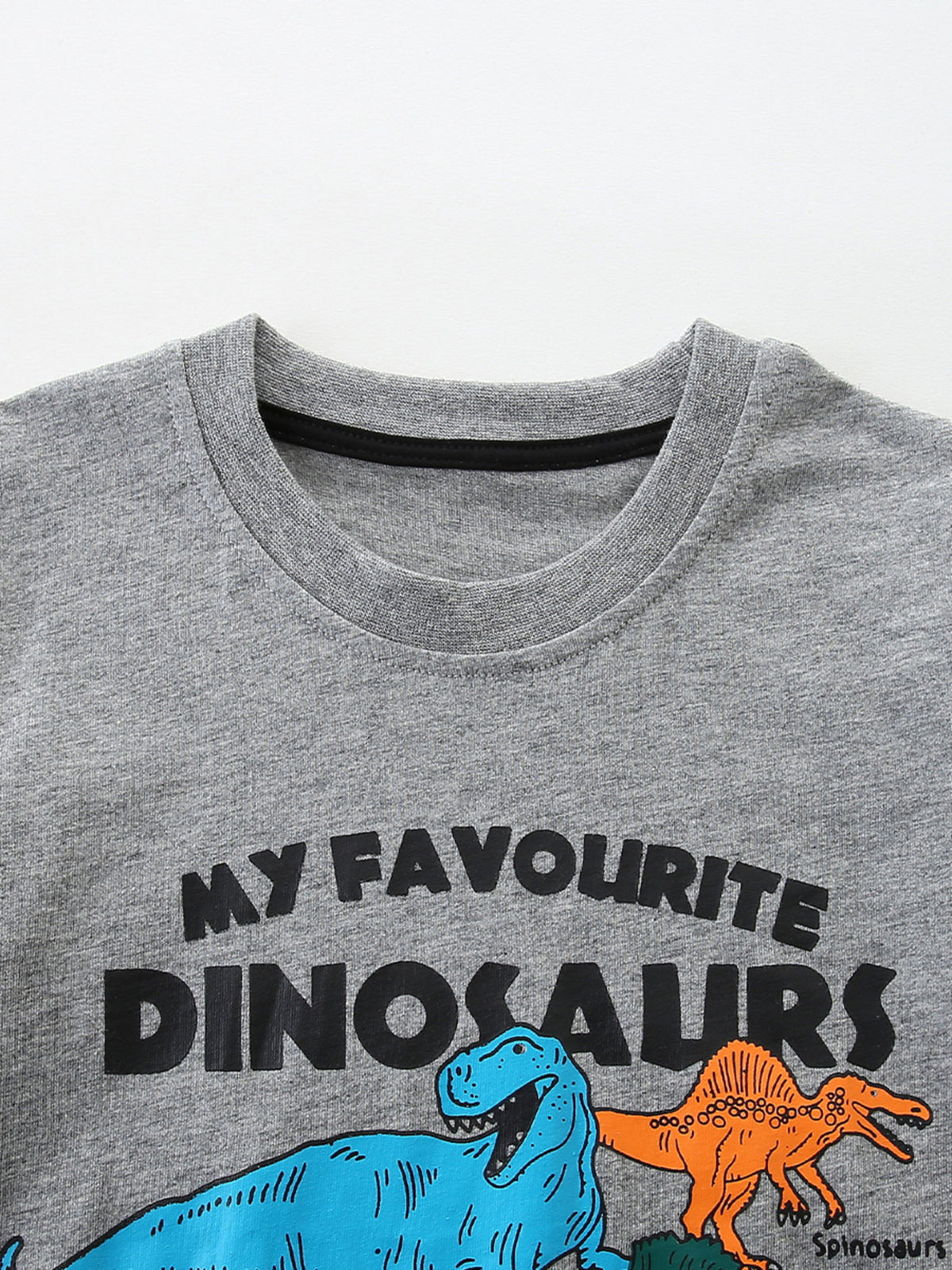 Grey cotton crew neck t-shirt with "MY FAVOURITE DINOSAURS" graphic and blue and orange dinosaurs.