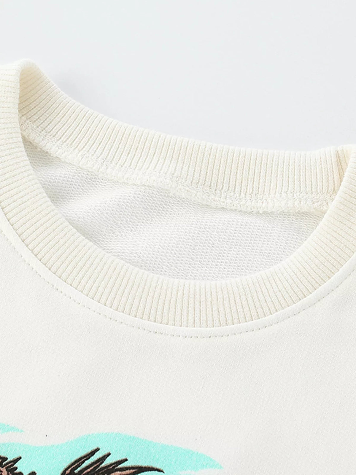 White cotton crew neck sweatshirt with dinosaur graphic detail
