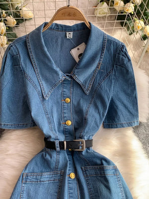 Light blue denim collared dress with short sleeves, button front, and black belt.