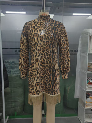 Leopard mini dress with mini and pullover