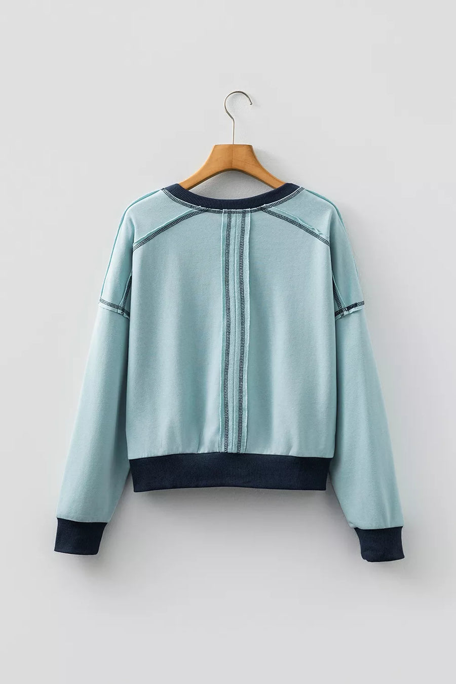 Pastel Blue with Contrast Edge Colorblock Crop Sweatshirt in Pastel Blue