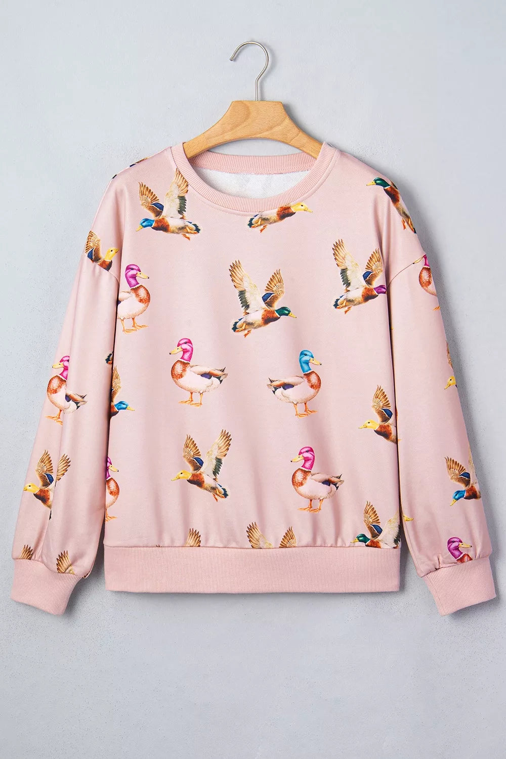 Blush Pink sweatshirt with hip-length and pullover