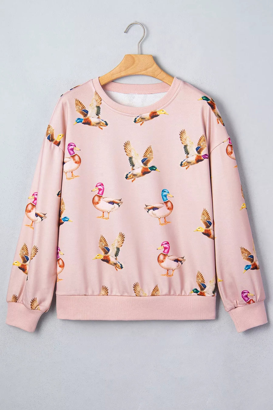 Blush Pink sweatshirt with hip-length and pullover