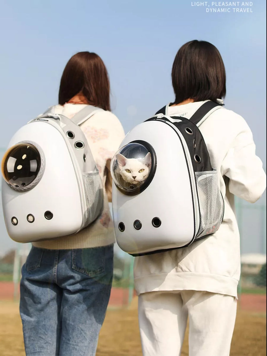 Chic transparent pet carrier backpack with bubble window, white with black trim, mesh sides.