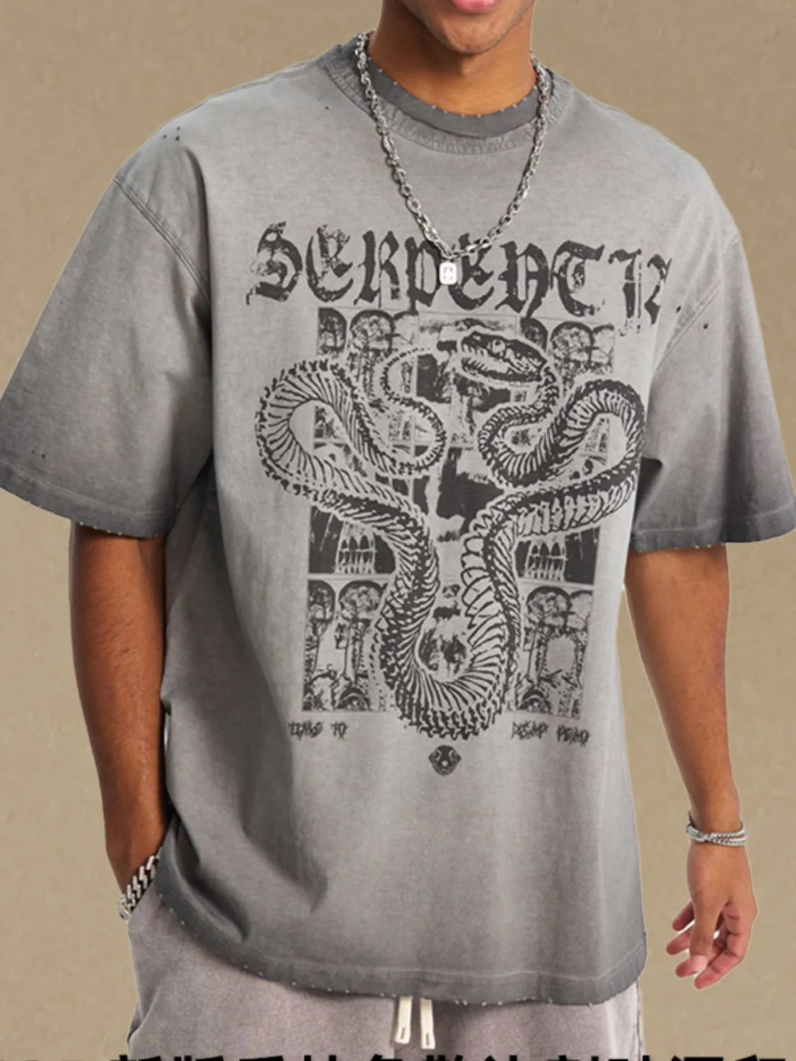 Gray oversized graphic tee with a distressed wash and a serpent design.